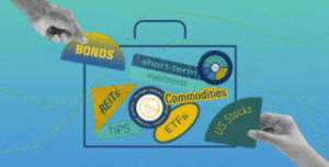 Challenges in Portfolio Diversification